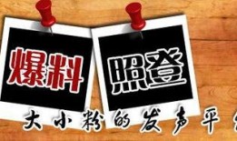 厨神最新爆料新闻,最新爆料背后的美食传奇