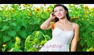 心锁1986在线观看,穿越时空的青春记忆