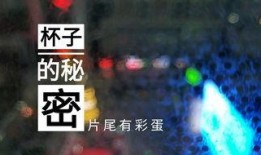天津饭店爆料视频最新,揭露行业潜规则与食品安全问题