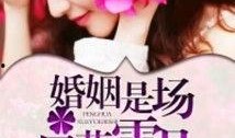 在线观看风花雪月,穿越时空的浪漫邂逅