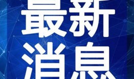 张兰最新消息爆料新闻视频,揭秘视频背后的惊人真相