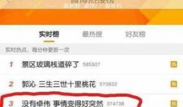 卓伟爆料慈善造假视频,揭开公益背后的黑幕