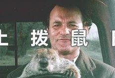 土拨鼠之日在线观看,穿越时空的奇妙循环