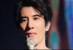 娱乐圈最火爆料王力宏,娱乐圈最火爆料王力宏的真相揭秘