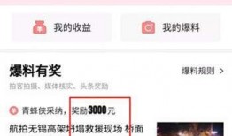 今日头条怎么找爆料入口,轻松找到爆料入口，助力优质内容传播