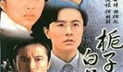 电视剧兰花花全集在线观看,传奇女子的奋斗与爱情传奇